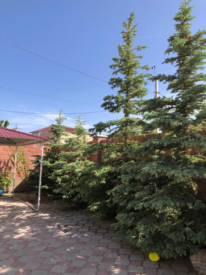 צ'ולפון-אטא Гостевой Дом Айша Guest House Aisha מראה חיצוני תמונה