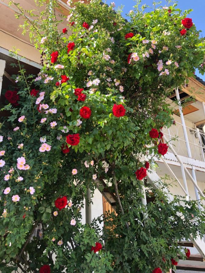 צ'ולפון-אטא Гостевой Дом Айша Guest House Aisha מראה חיצוני תמונה
